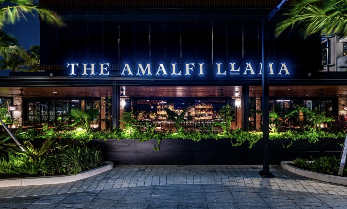 THE AMALFI LLAMA